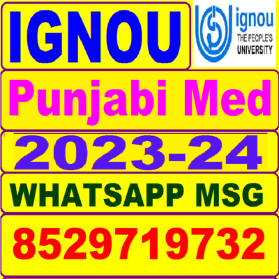 punjabi 2023 24 Copy Copy