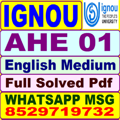 AHE 01 project 2023 pdf in English