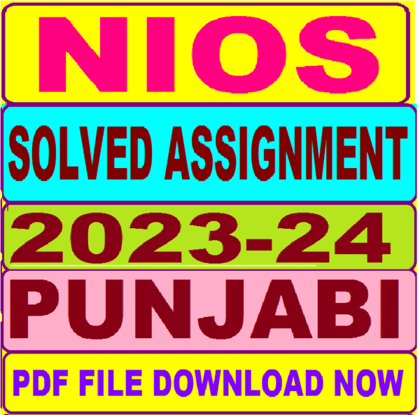 nios punjabi assignment